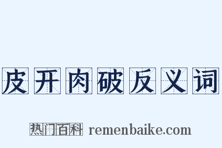 皮开肉破反义词是什么意思的图片